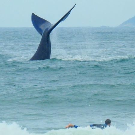 Tranquilidade Na Praia Da Gamboa ガロパバ エクステリア 写真